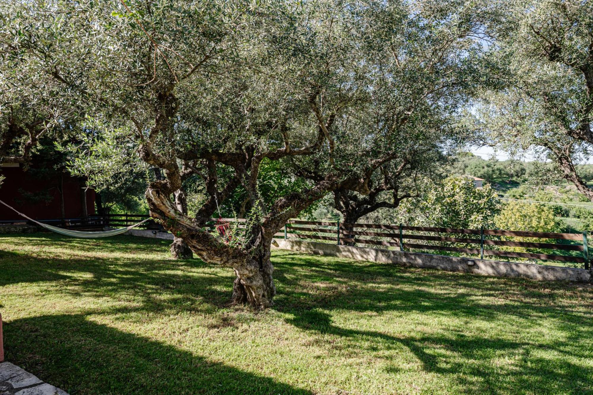 Country house Ilyessa Meson Yerakarion