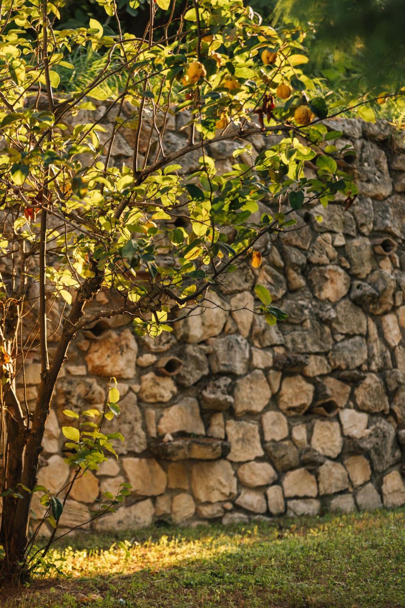 Ilyessa Casa rural Méson Yerakaríon